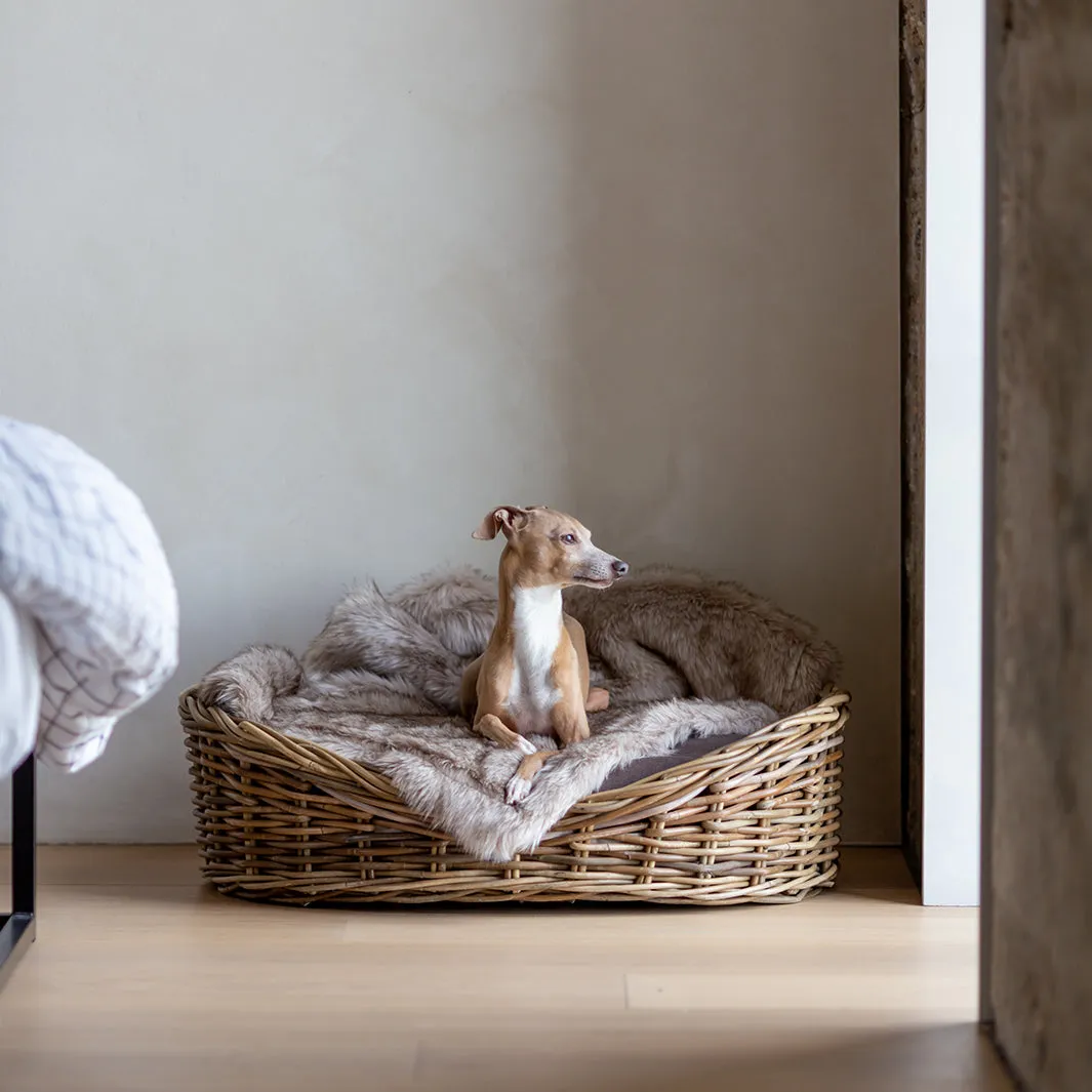 Oval Rattan Dog Baskets - Greywash